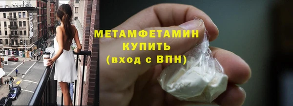 индика Богородицк