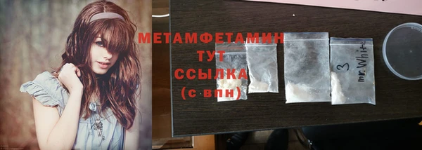 индика Богородицк