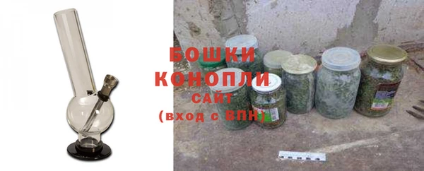 эйфоретик Богданович