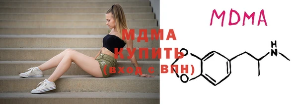 индика Богородицк