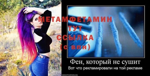 индика Богородицк