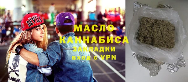 индика Богородицк