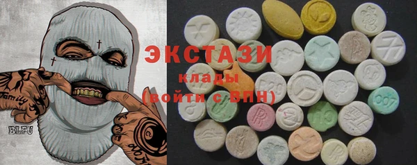 индика Богородицк