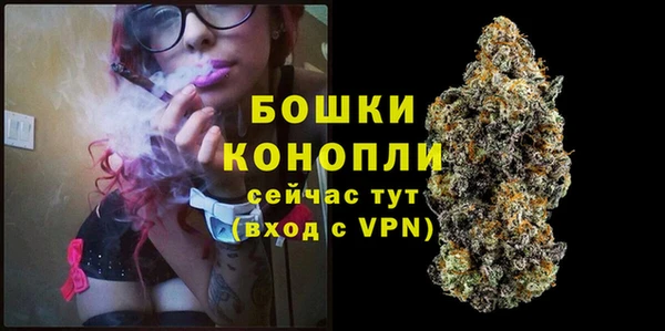 эйфоретик Богданович
