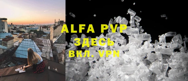 индика Богородицк