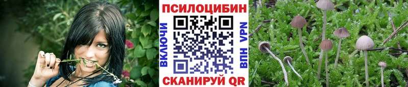 Псилоцибиновые грибы прущие грибы  наркошоп  Будённовск 
